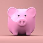 budget allocations