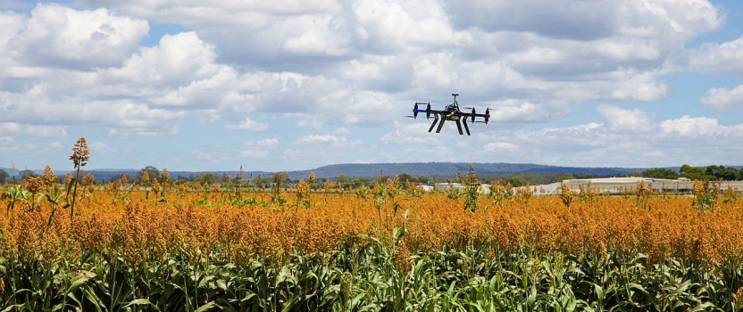 NUI’s New Master’s Program in Agricultural Innovation