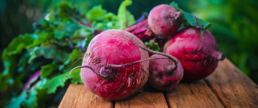 Growth in Ireland’s Agricultural Sector