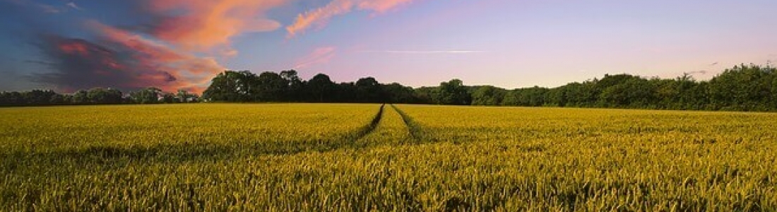 R&D Tax Credits for the Farming Industry