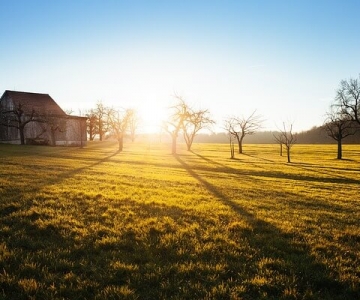 Farming