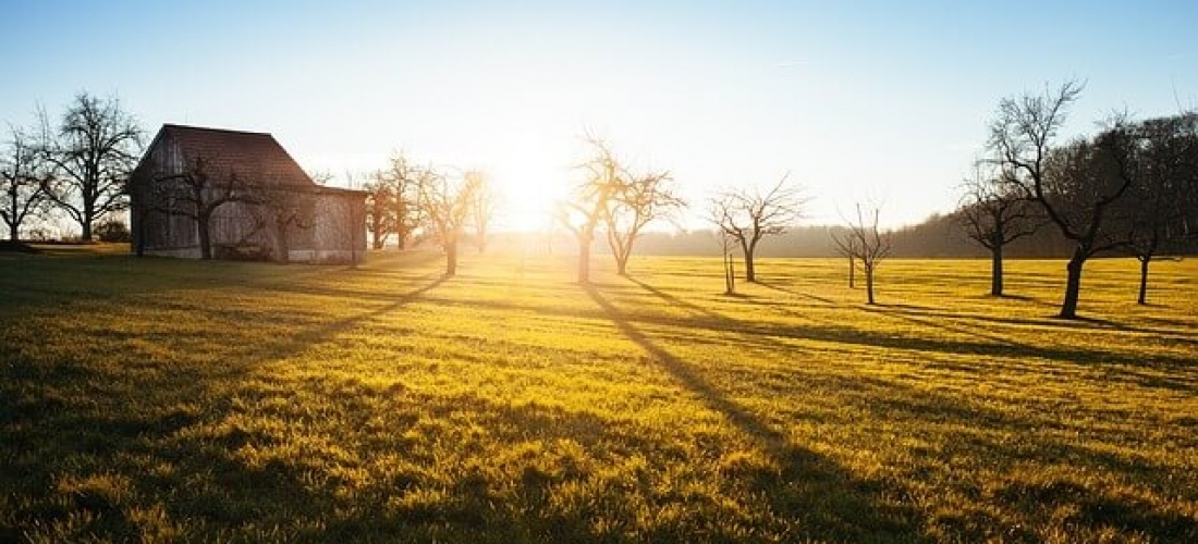 Farming