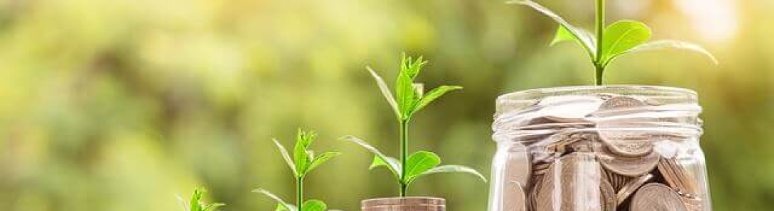 Economic Effects of Tax Credits