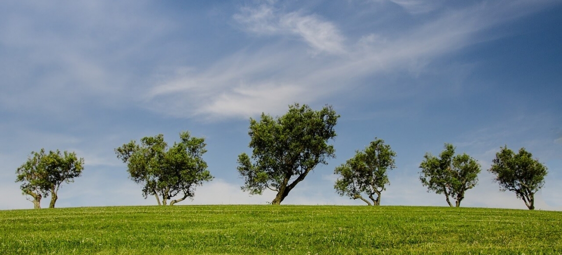 Environmental Startup